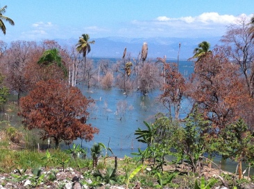 Flooded farms along Lake Enriquillo